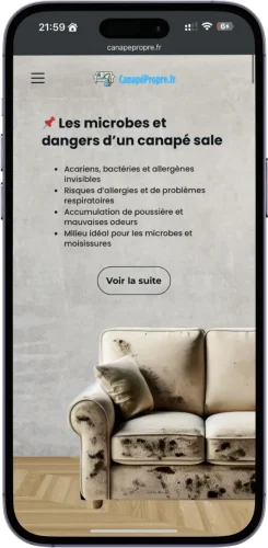 Canapépropre5